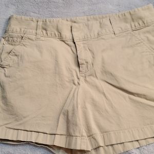 Khaki shorts